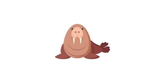 Flat Design Animated Walrus Character