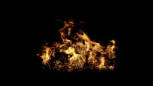 Dynamic Fluid Fire Animation Visual Effect