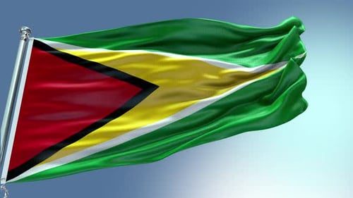 Guyana Flag Waving in Realistic 3D Animation