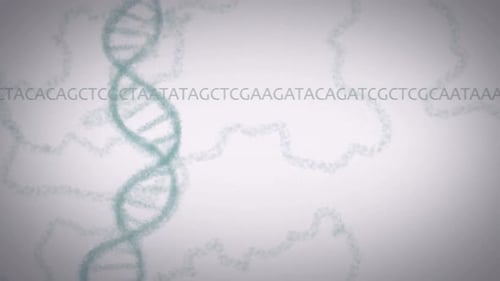 DNA-Doppelhelixstruktur mit genetischem Code auf weißem Hintergrund