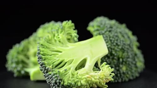 Close Up of Green Broccoli on Black Background