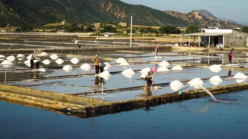 Locals in Son Hai Vietnam shovel the large mountains with salt on a wheelbarrow on one of the large