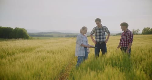 Farmer In Field Examining Crops Agriculture