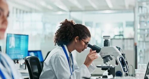 Woman Researcher Works at Microscope in Lab