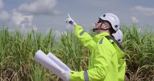 Female engineer in helmet holding blueprint pointing upward analyzing wind turbine maintenance