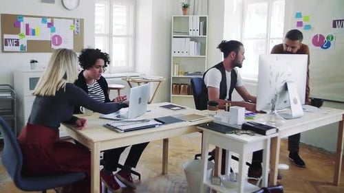 Young Business Teamwork in Modern Office