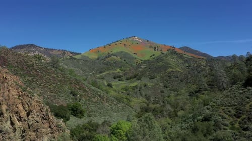 Poppy superbloom no pico da montanha da Califórnia, boneca aérea de drone em