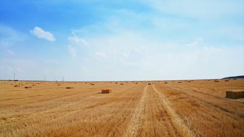 Fantastic landscape of cut agricultural field with hay bales left on it