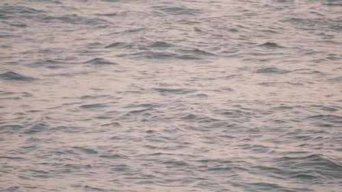 View of water waves creating a ripple effect, light reflection on the water surface.