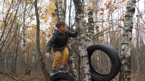Junge klettert im Herbstwald auf Bäume Junge spielt in seinem Waldhaus