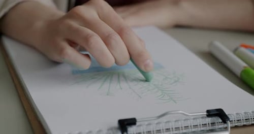 Closeup of Artist Drawing Beautiful Plant on Paper Working with Crayons at Table