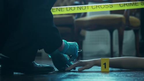 Detective Investigating Crime Scene, Analyzing Evidence