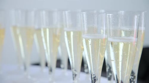 Glasses of Bubbly Champagne Lined Up for Celebration