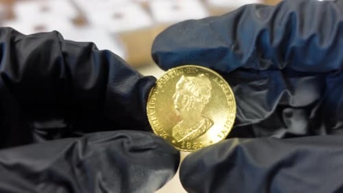 Numismatist Examines Collection of Coins 18