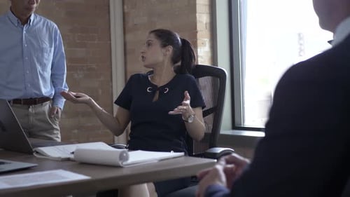 Business Meeting with Woman Explaining Strategy to Colleagues