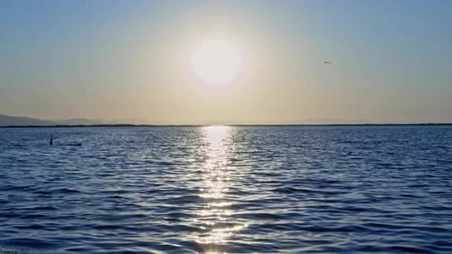 Sun Glitter Sparkles On The Blue Sea In Winter