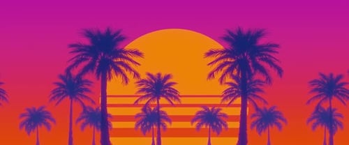Sunset and Palms