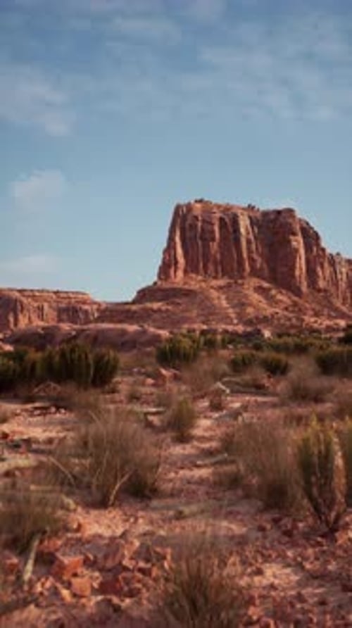Arid Desert Landscape With Distant Mountain