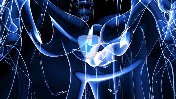 Animation abstraite 4K de la prostate, Graphiques Animés Y compris ...