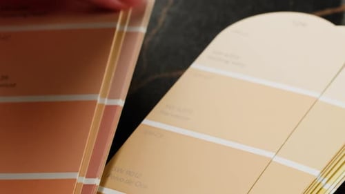 Color Pallet Choosing the Color By Designer Furniture Real Estate or Construction Works Creative