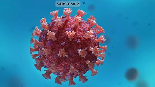 3D Rotating SARS-CoV-2 Coronavirus Medical Model