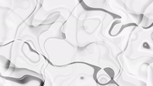 Abstract Fluid Grayscale Lines Organic Motion Background