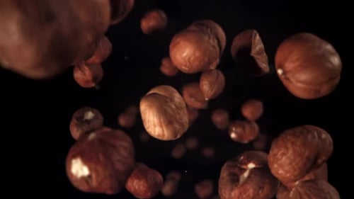 Hazelnuts Rotating on a Dark Background
