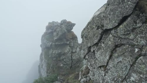 Rocky Landscape on Alpine Meadows on a Cloudy Day Fog in the Mountains