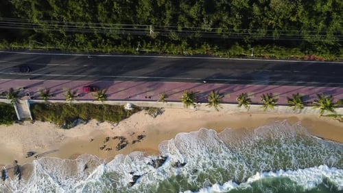 Aerial top down, cars driving on road by tropical beach coast. Palm trees, wave rolling into shore