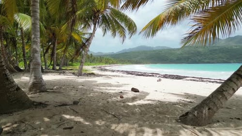 Idyllic Playa Rincón beach near Las Galeras on the lush Samaná peninsula in the Dominican Republic o