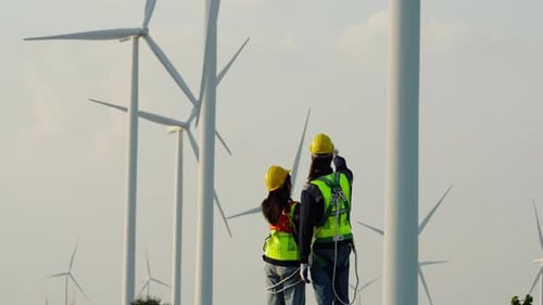 Multiracial colleagues examining wind turbines blueprints. Windmills on sunset