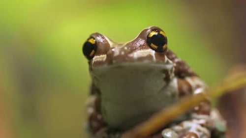 Landschaftslegenden: Geschichten, die von Wind und Wasser geformt wurden