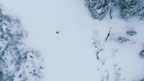 Experience Aerial Slow Motion Skiing in a Stunning Winter Wonderland with