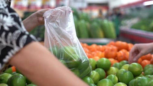 Woman's hands seen selecting limes at a fresh produce grocery store - isolated