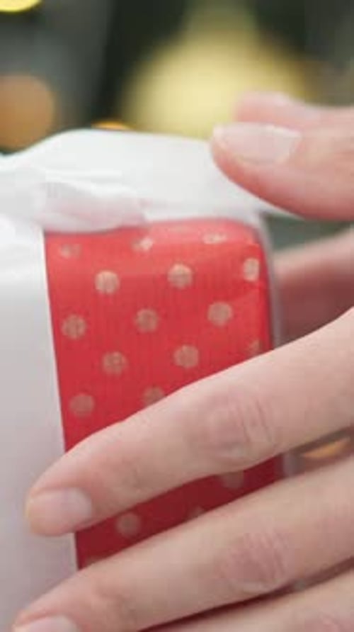 Person Touching Christmas Gift with Decorated Tree