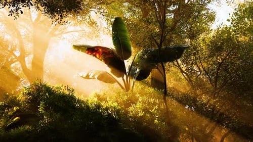 Sunlight Filters Through the Dense Forest Illuminating Vibrant Green Foliage