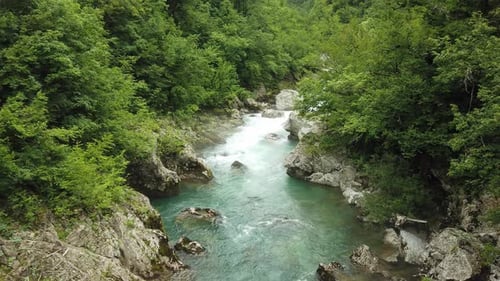 Un río de montaña transparente pasa por las orillas cubiertas de un denso bosque verde