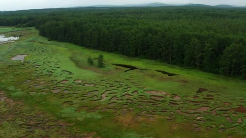 Swampy Terrain on the Shore Against the Background of Green Forest and Low Mountains in Cloudy