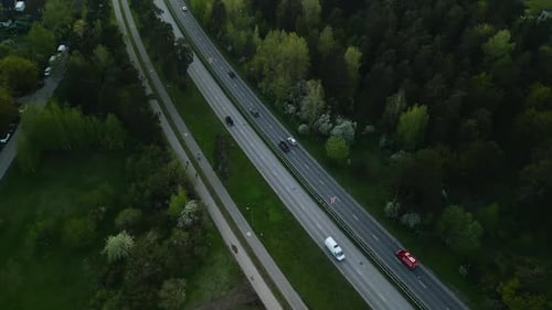 Enjoy the Beauty of Traffic on the Treelined Highway Through the Lush Forest for a Relaxing and