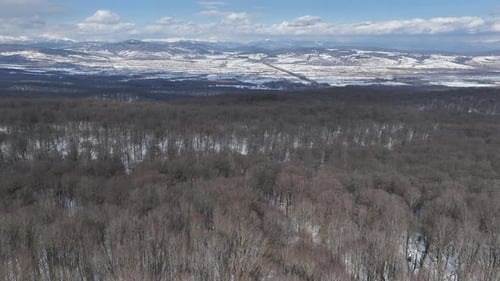 Luftaufnahme eines gefrorenen Waldes mit schneebedeckten Bäumen im Winter. Flug über dem wunderschönen verschneiten Berg