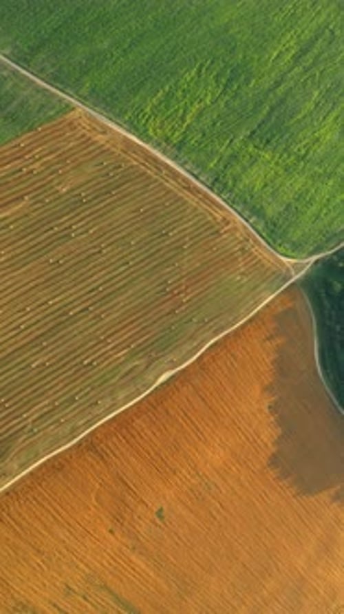 Aerial View Of Summer Hay Rolls Straw Field Landscape In Evening