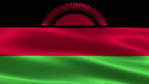 Realistic Waving Malawi National Flag