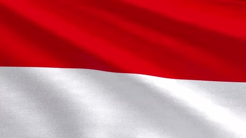 Waving Red and White Fabric Flag Seamless Loop