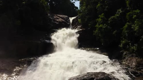 Waterfall in the Rainforest Jungle