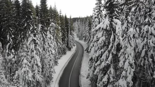 Curvy windy road in snow covered forest, top down aerial view