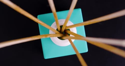 Aroma Reeds in Teal Diffuser Top-Down View