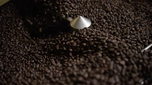 Roasted Coffee Beans Stirred in Machine