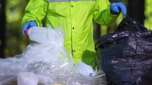 Person Recycling Plastic Waste in Forest, Environment Theme