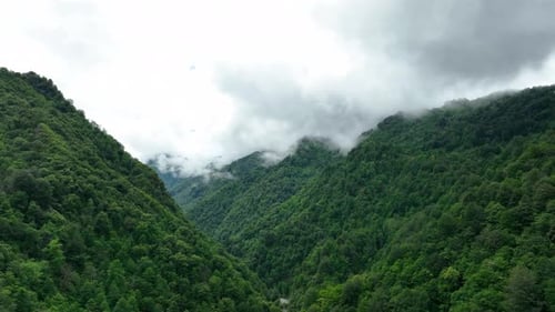 Vallée verte La vallée de Kamilet recouverte de forêts