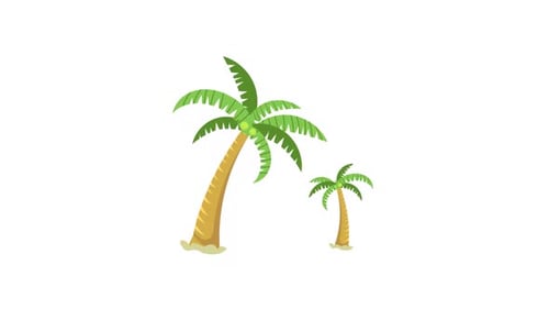 Animated Flat Design Palm Trees Appearing